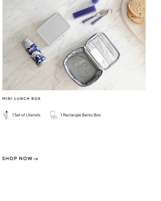 Mini Lunch Box