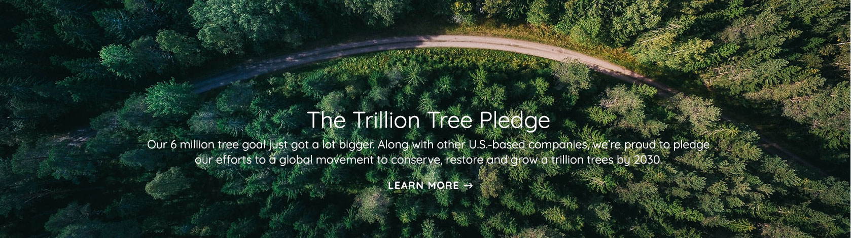 Trillion Tree Pledge
