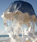 How to make a Jellyfish Piñata