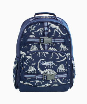 dinosaurs