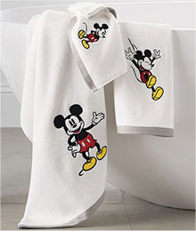 shop the towel set