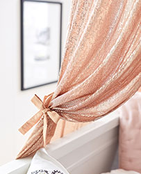 Rachel Zoe Sequin Canopy
