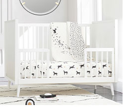 Toddler Rooms