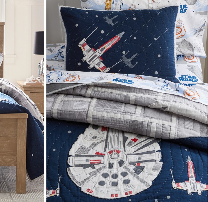 Millennium Falcon™