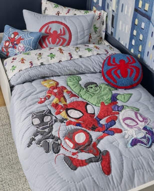 Our Marvel's Spidey and His Amazing Friends Collection