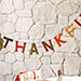 The Story of Thanksgiving