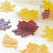 Autumnal Fruit Leathers