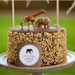 Chocolate Peanut Butter Cake