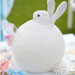 Hoppin' Bunny Cake