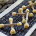 Pretzel Bones