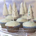 Snowscape Cupcakes
