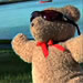 A Bear's Story: Oatmeal