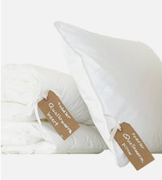 Bedding Basics