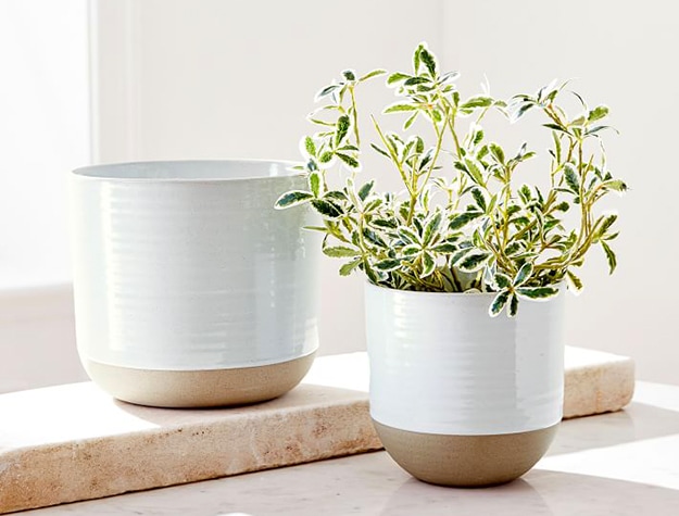 Two white pots, one with a succulent plant inside