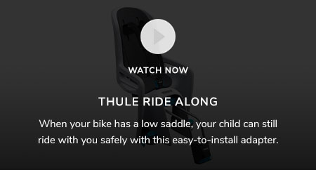 Thule Ride Along