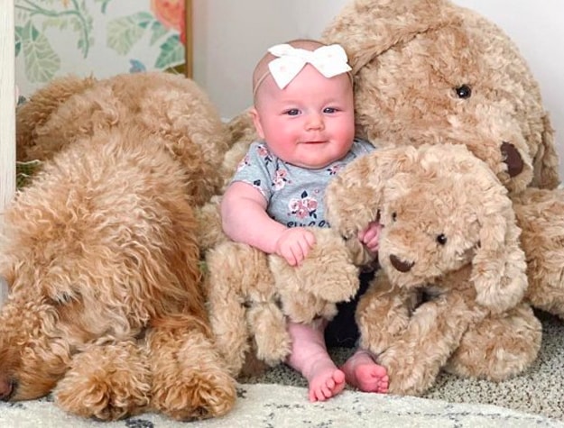 Baby next to Goldendoodle plush