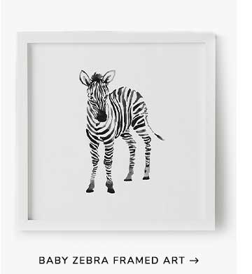 Baby Zebra Framed Art