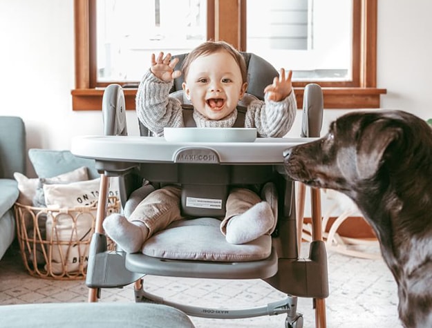 Laughing baby sitting in a highchair and raising his hands