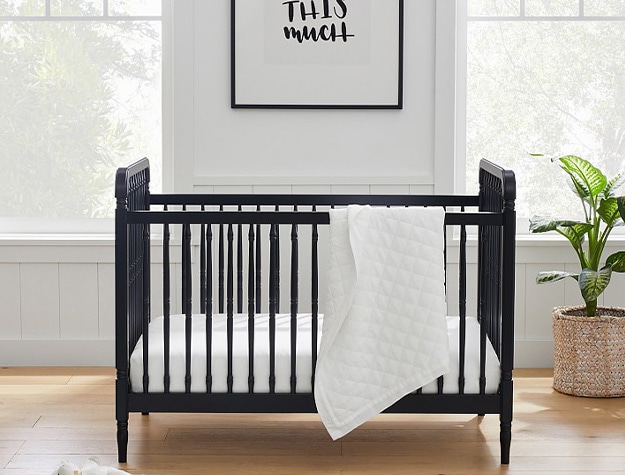 Black and white themed nursery with plant.