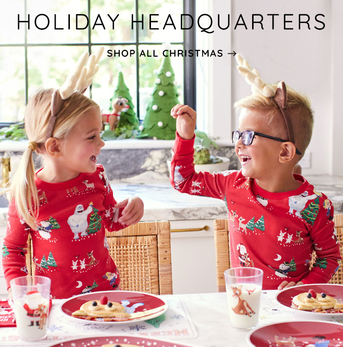 Christmas Garland Pottery Barn 2022 Christmas 2022 Update