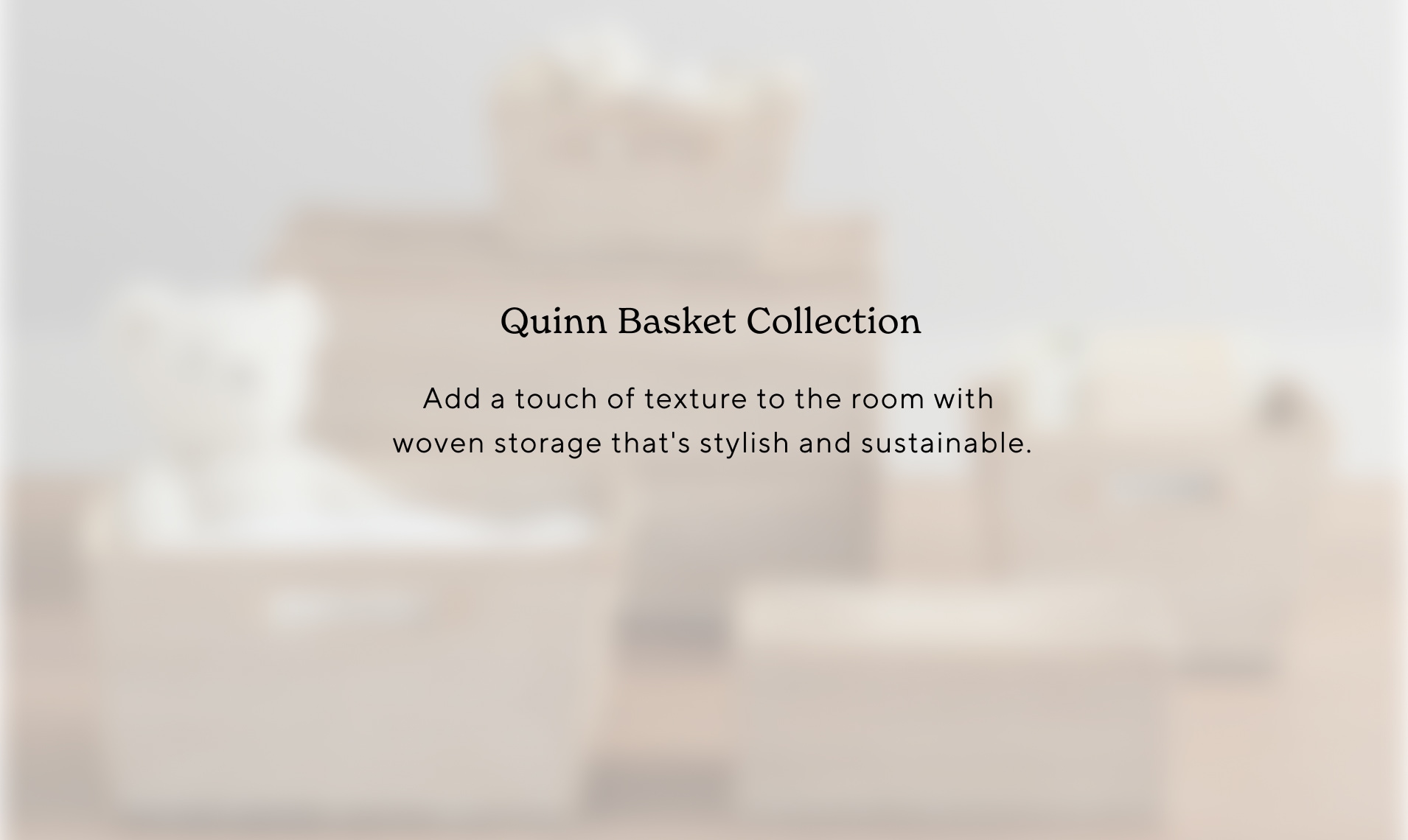 Quinn Basket Collection