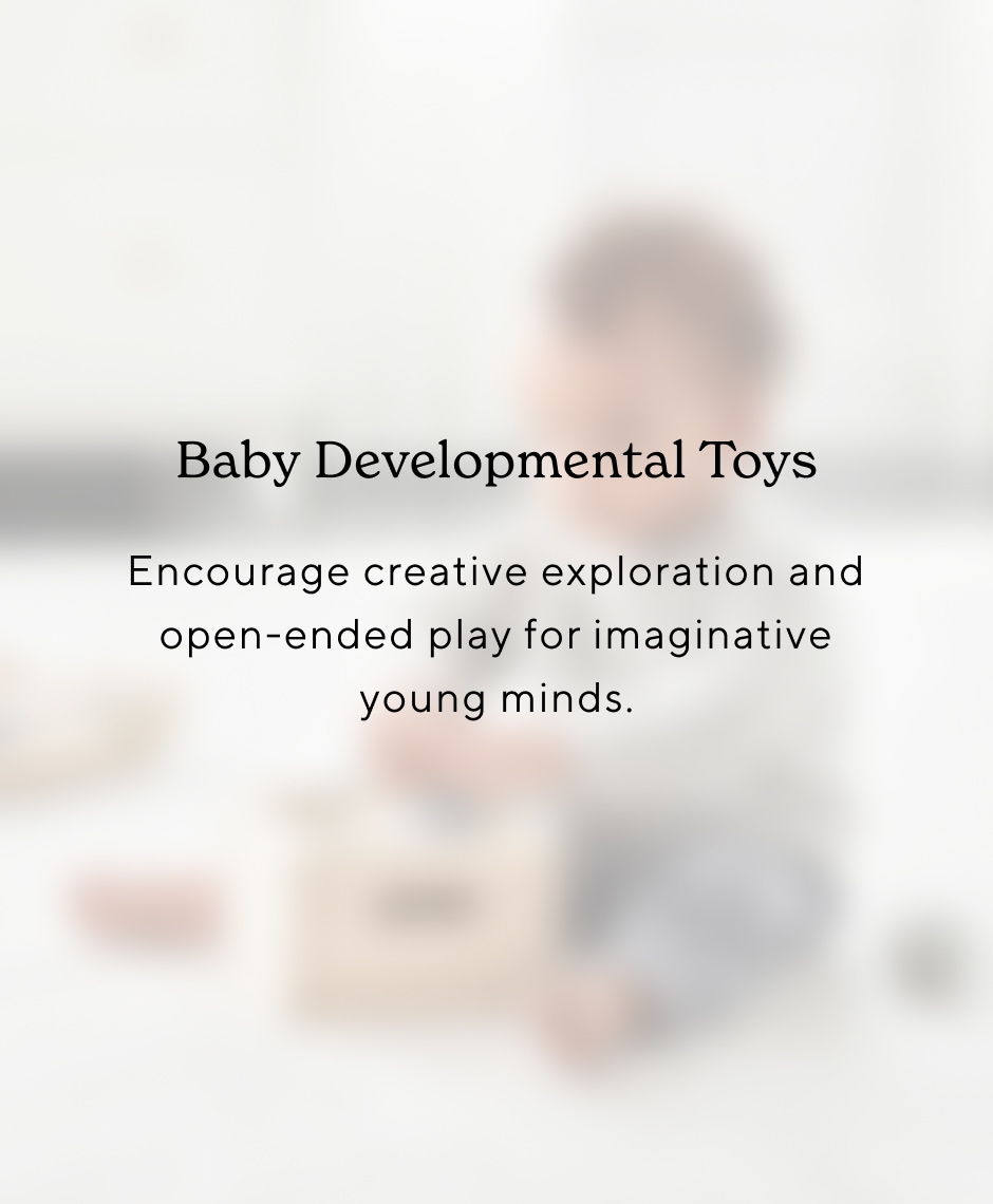 Baby Developmental Toys