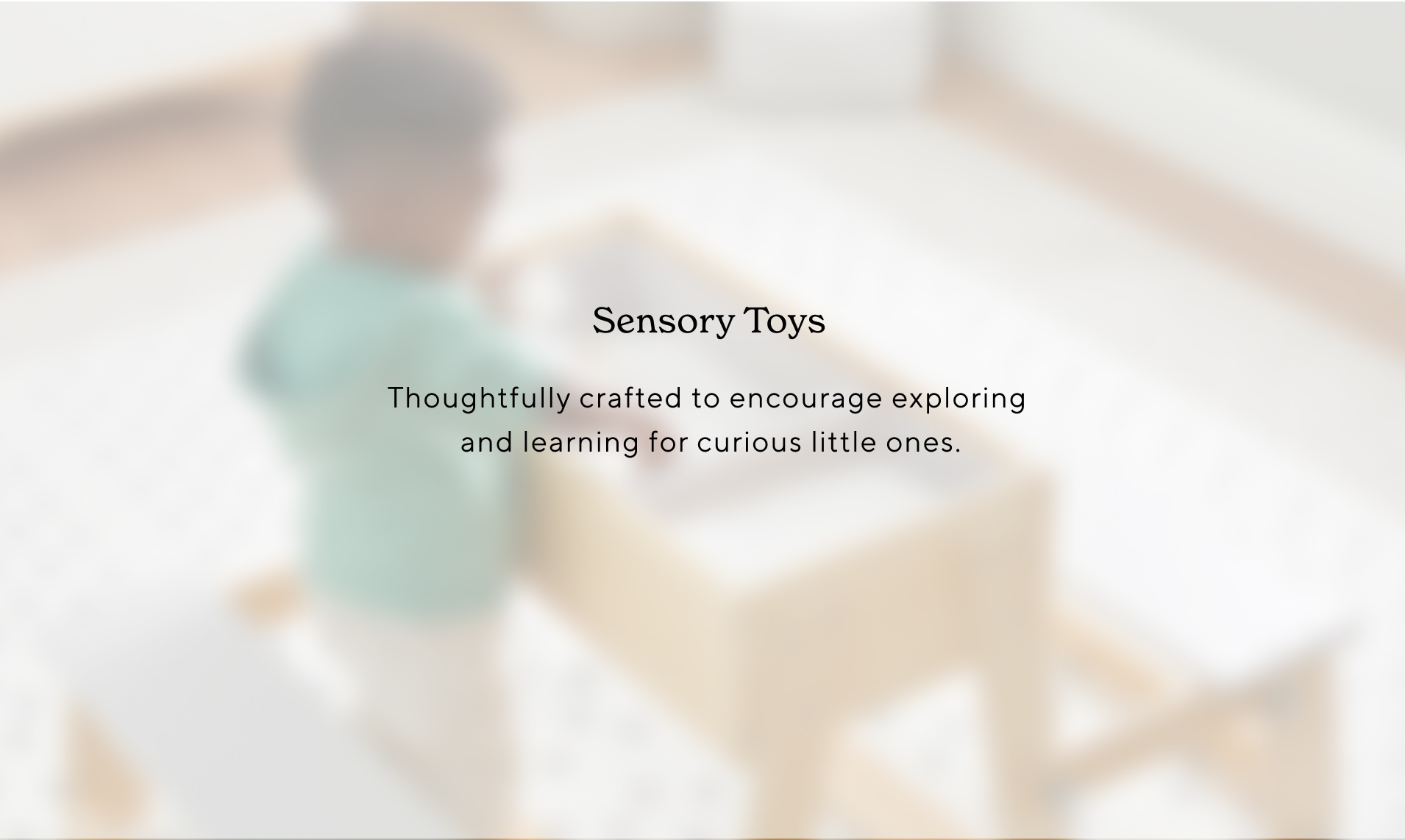 Sensory Toys