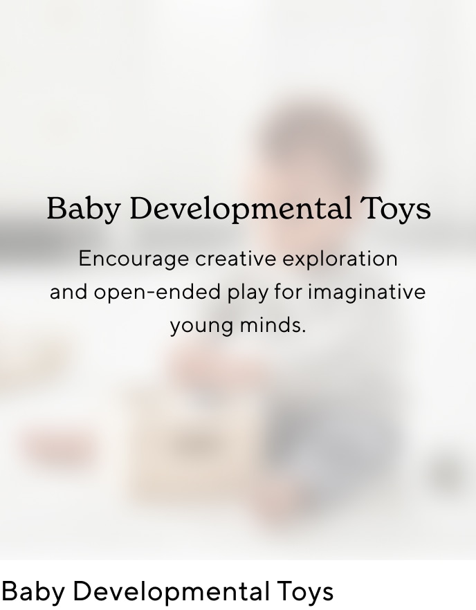 Baby Developmental Toys