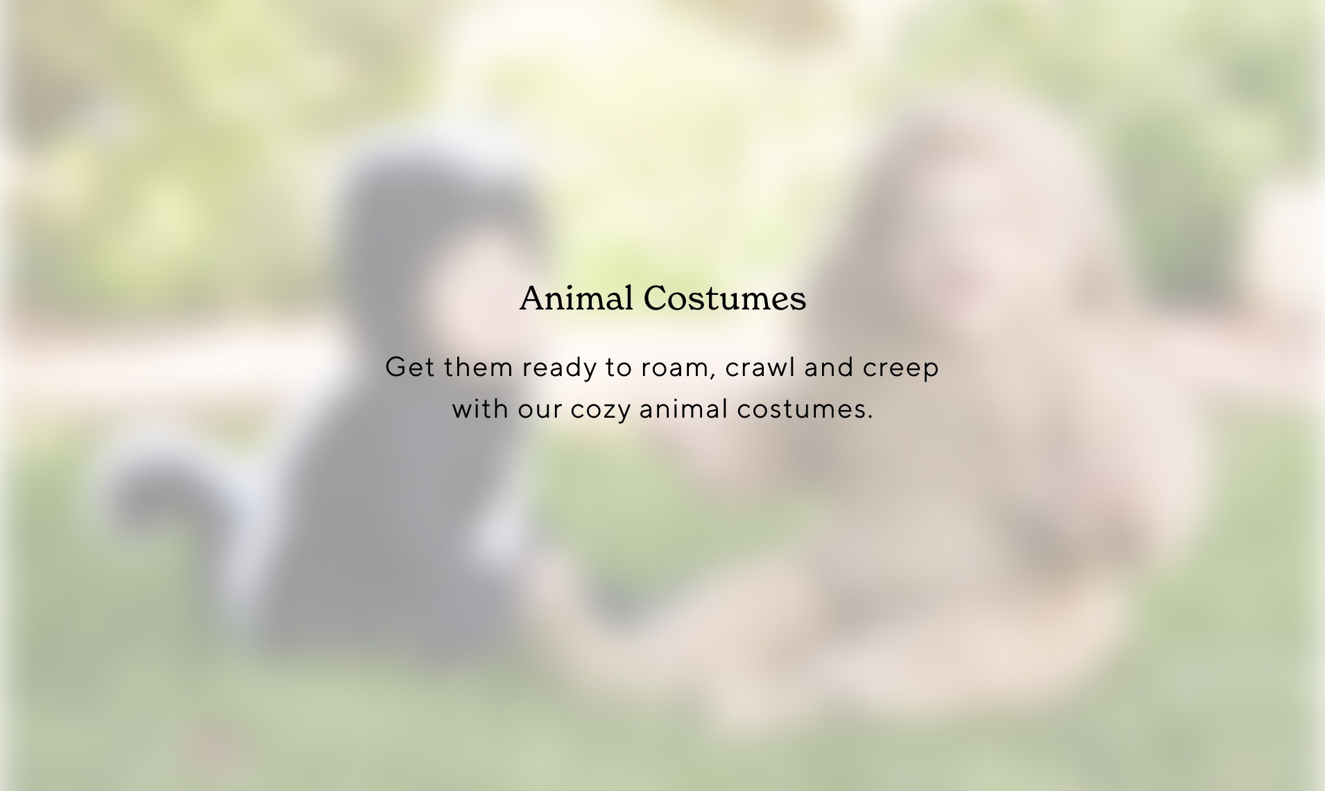 Animal Costumes