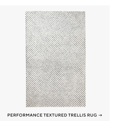 Performance Textured Trellis Rug