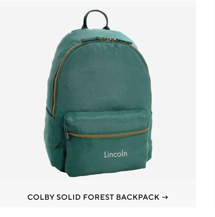 Colby Solid Forest Green Backpack