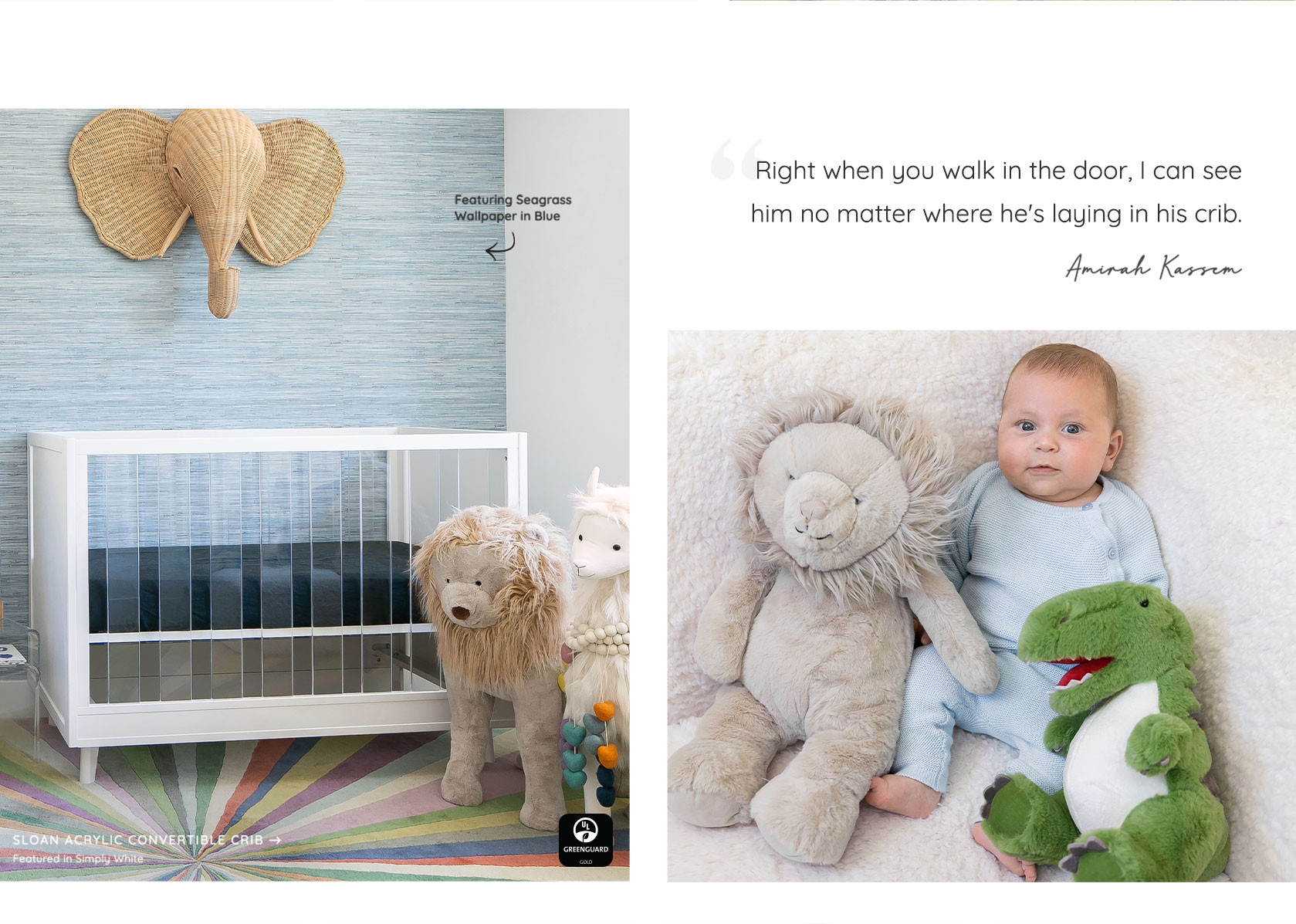 Sloan Acrylic Convertible Crib