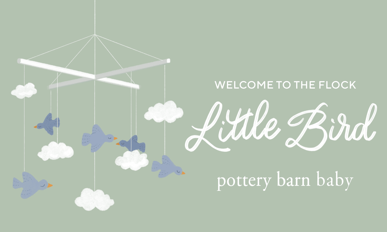 Welcome Little Bird egift Card