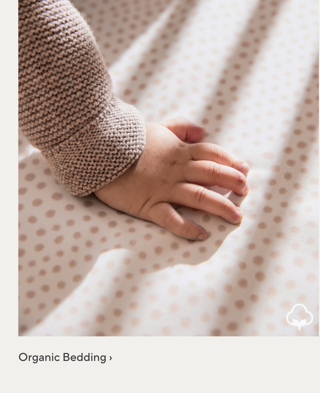 Organic Bedding