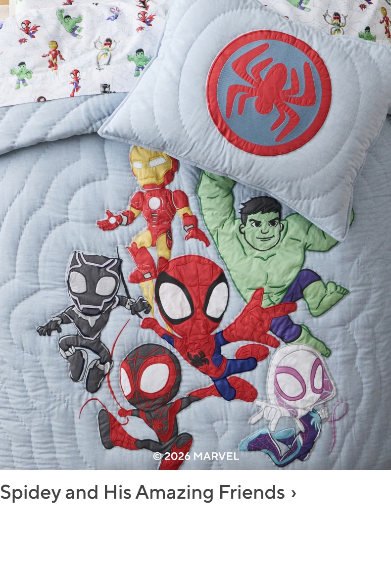 Spidey and His Amazing Friends