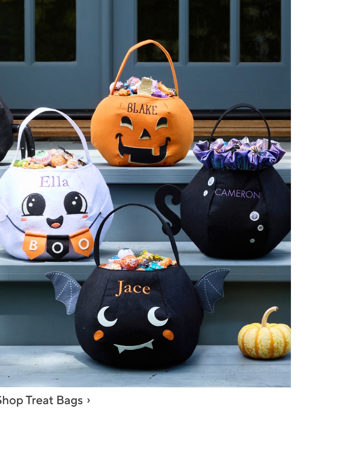 Shop Treat Bags