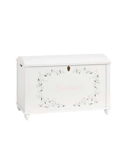 Painted Toy Chest