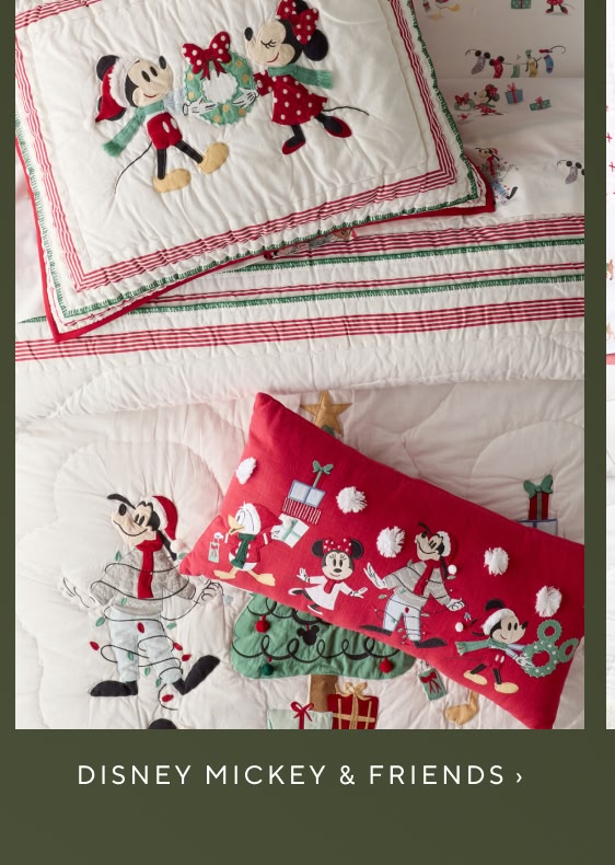 Disney Mickey & Friends