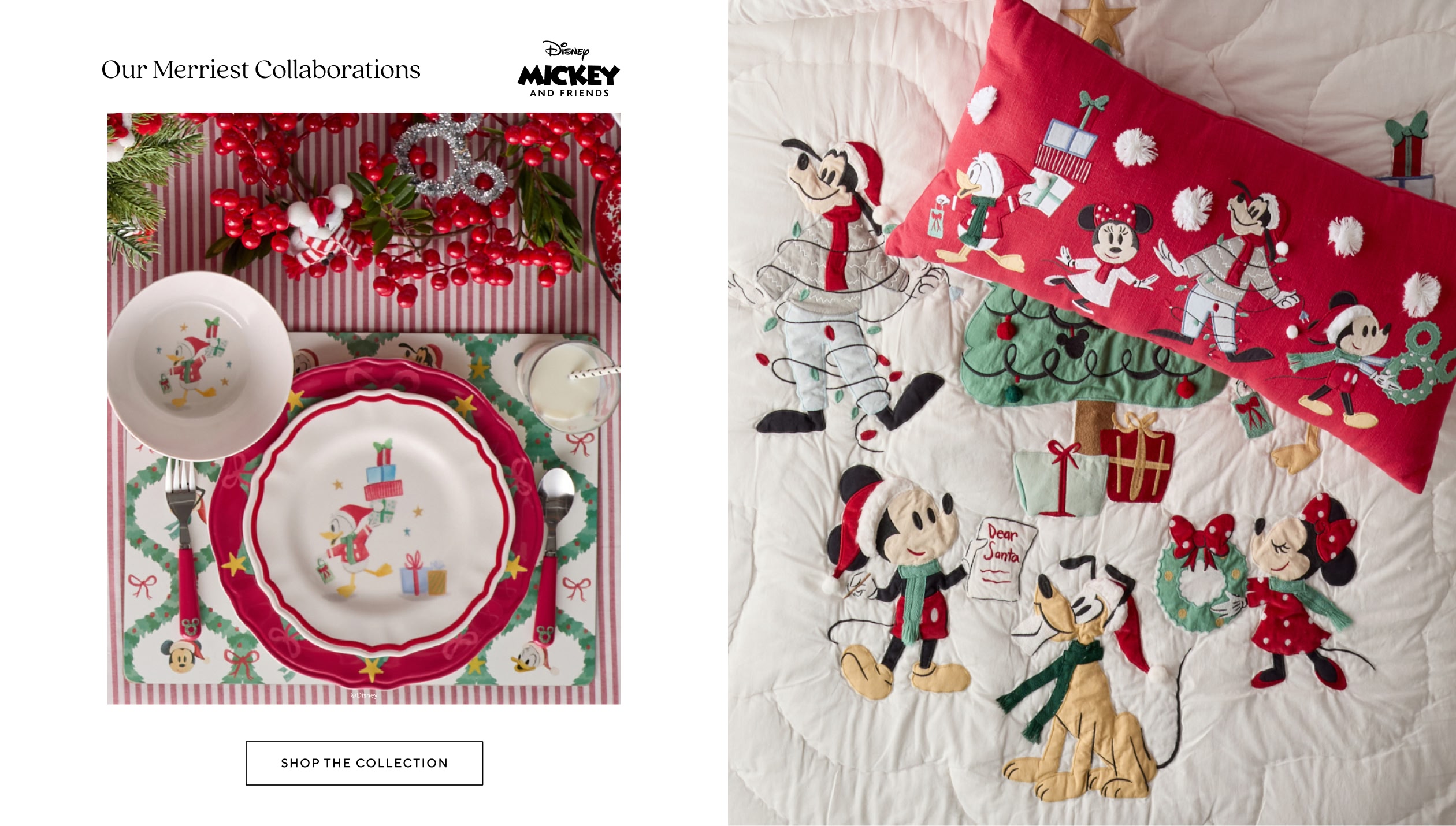 Disney Mickey and Friends