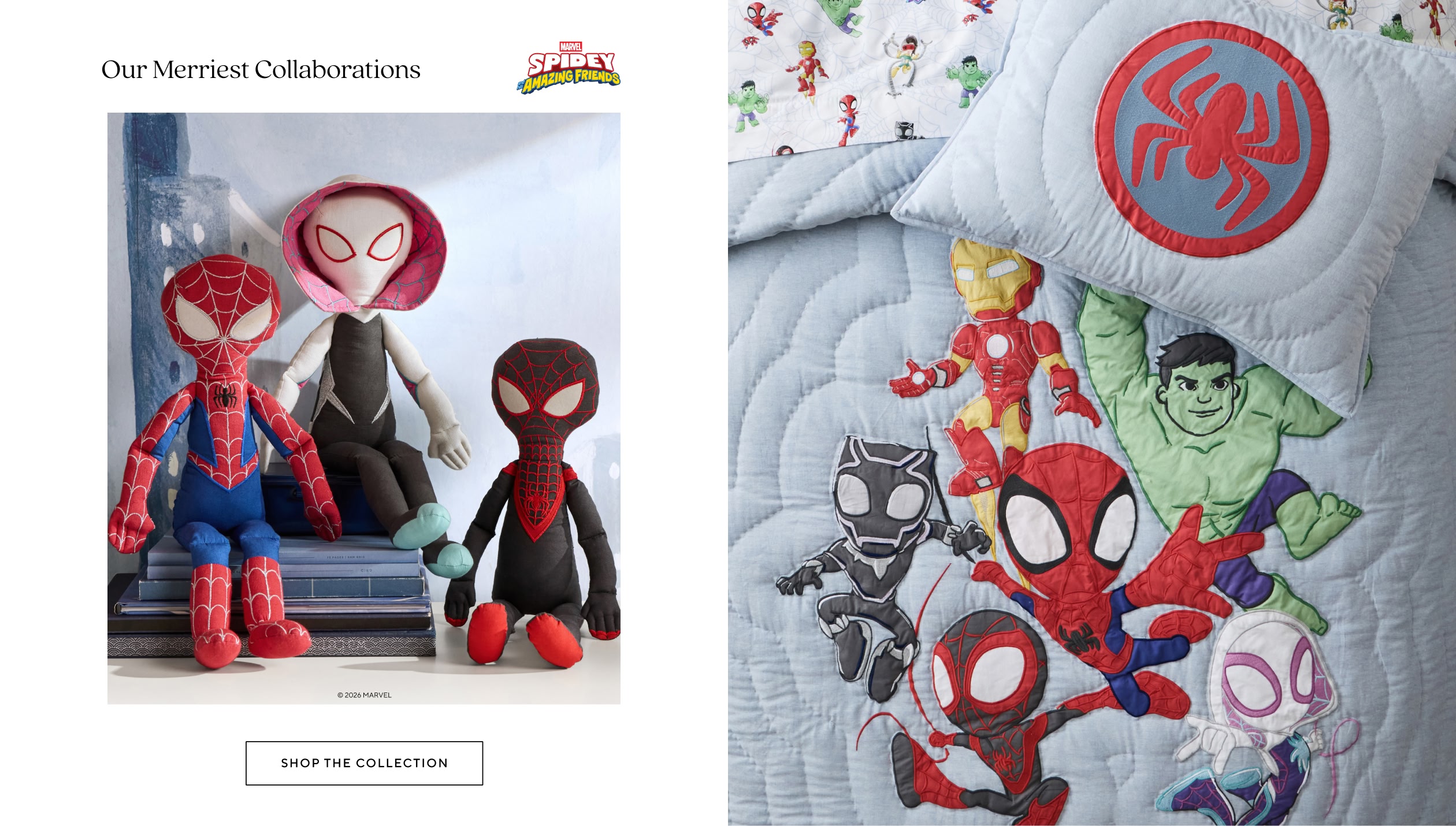 Spidey and His Amazing Friends