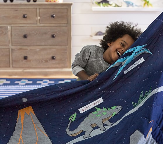 warren dinosaur quilt