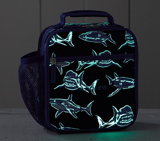 pottery barn shark lunch box