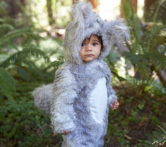 baby girl squirrel costume