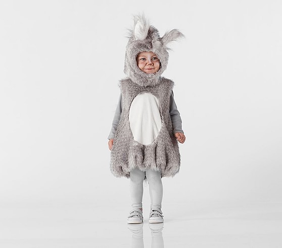 pottery barn squirrel costume