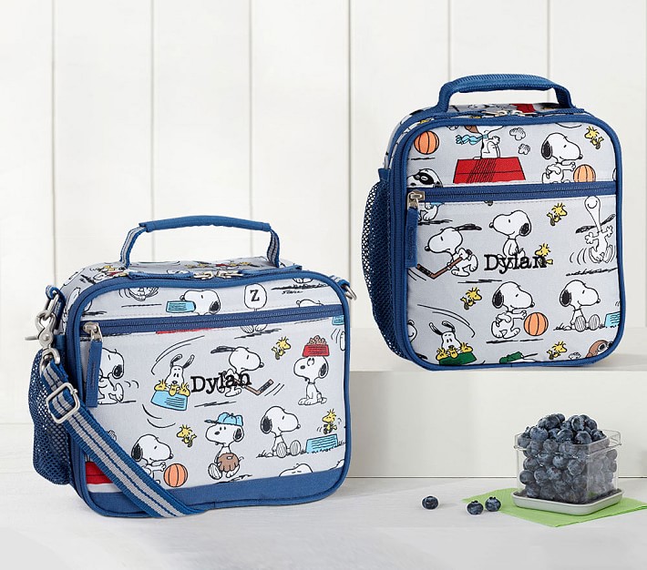 snoopy luggage