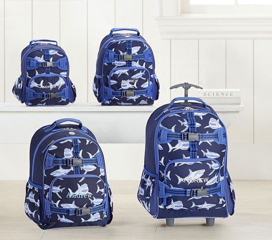 blue backpack for boys