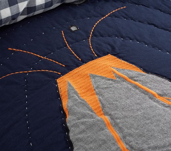 warren dinosaur quilt