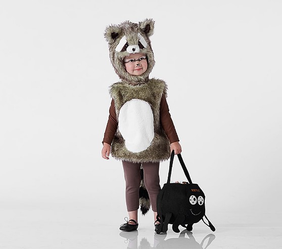 baby racoon costume