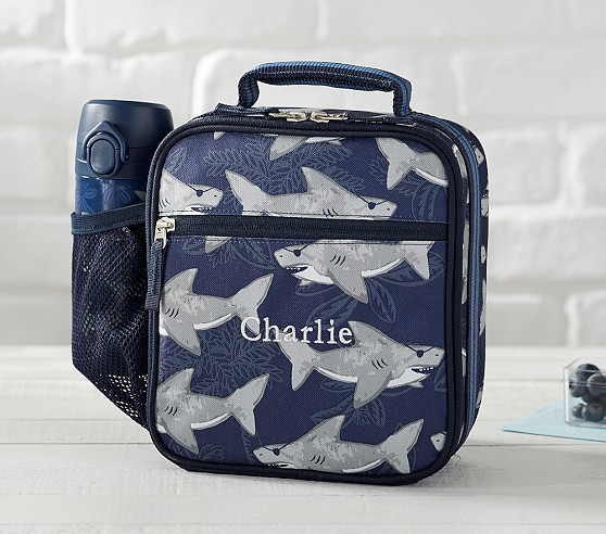 pottery barn shark lunch box