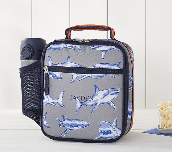 pottery barn shark lunch box